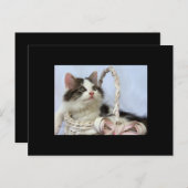 Cartes Pour Fêtes Annuelles Valentine's Kitten (Devant / Derrière)