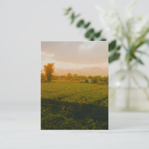 Cartes Pour Fêtes Annuelles Vang Vieng - Laos