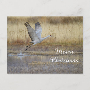 Cartes Pour Fêtes Annuelles venez voler avec moi, Joyeux Noël