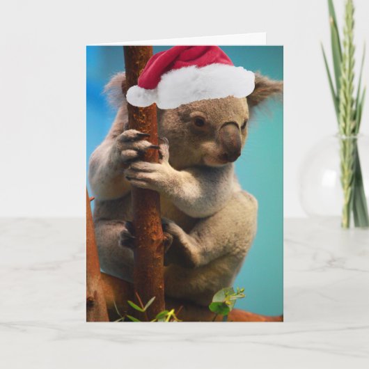 Cartes Pour Fêtes Annuelles Vers le bas sous le koala de Noël (Devant)