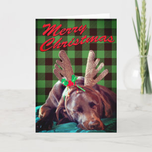 Cartes Pour Fêtes Annuelles Vert Plaid Labrador Portant Des Antlers Photo Cust