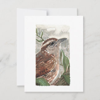 Cartes Pour Fêtes Annuelles Vide - Carolina Wren Aquarelle Imprimer