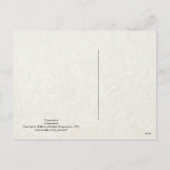 Cartes Pour Fêtes Annuelles Vierge à Noël (Dos)