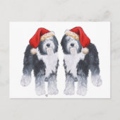 Cartes Pour Fêtes Annuelles Vieux anglais Sheepdog Santa Hat (Devant)