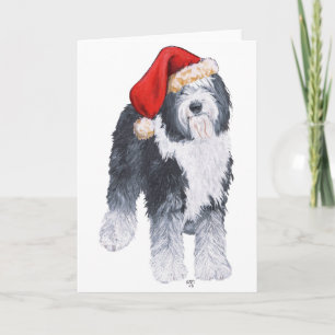 Cartes Pour Fêtes Annuelles Vieux anglais Sheepdog Santa Hat