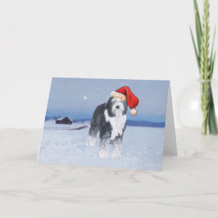 Cartes Pour Fêtes Annuelles Vieux anglais Sheepdog Santa Hat