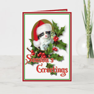 Cartes Pour Fêtes Annuelles Vieux Noël Kitten