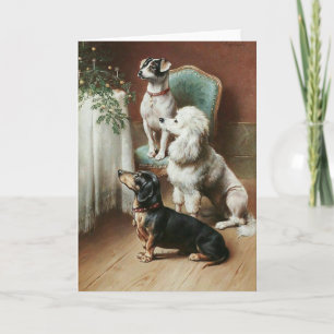Cartes Pour Fêtes Annuelles Vintage - Chiens Admirez un arbre de Noël,