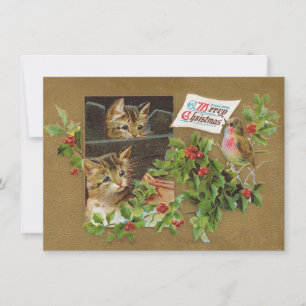 Cartes Pour Fêtes Annuelles Vintage Christmas Cats