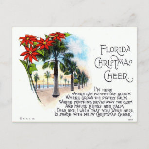 Cartes Pour Fêtes Annuelles Vintage Florida Noël Cheval