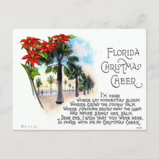 Cartes Pour Fêtes Annuelles Vintage Florida Noël Cheval