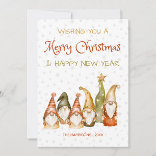 Cartes Pour Fêtes Annuelles Vintage Gnomes Flacons de neige Noël