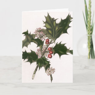 Cartes Pour Fêtes Annuelles Vintage Noël, Holly Plante avec les baies rouges