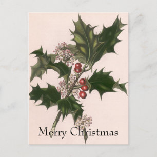 Cartes Pour Fêtes Annuelles Vintage Noël, Holly Plante avec les baies rouges