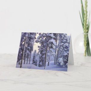 Cartes Pour Fêtes Annuelles Vintage Noël Neige d'hiver