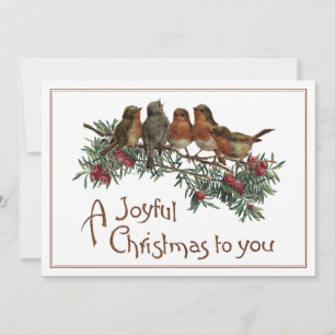 Cartes Pour Fêtes Annuelles Vintage Robin Oiseau Noël Évergreen Joyeux