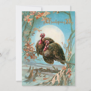 Cartes Pour Fêtes Annuelles Vintage Thanksgiving Turkeys Sous Pleine lune