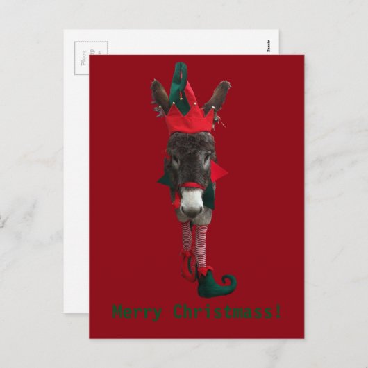 Cartes Pour Fêtes Annuelles Violet the Elf Postcard (Devant / Derrière)