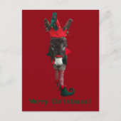 Cartes Pour Fêtes Annuelles Violet the Elf Postcard (Devant)