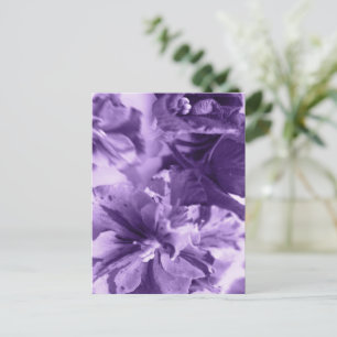 Cartes Pour Fêtes Annuelles Violettes monochromes