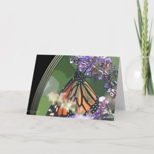 CARTES POUR FÊTES ANNUELLES VISION DE MONARQUE