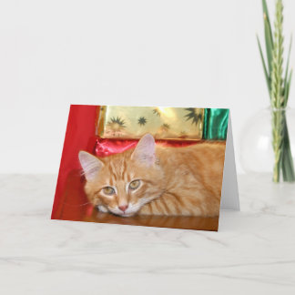 Cartes Pour Fêtes Annuelles Vite Noël