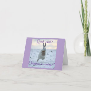 Cartes Pour Fêtes Annuelles Vite, vite Noël arrive !