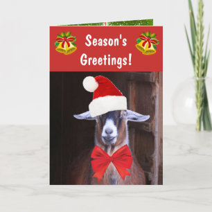 Cartes Pour Fêtes Annuelles Vœux de Funny Goat Season