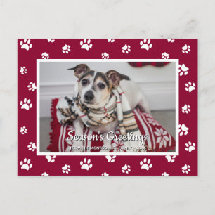 Cartes Pour Fêtes Annuelles Vœux de la saison ! Photo de chien aux empreintes