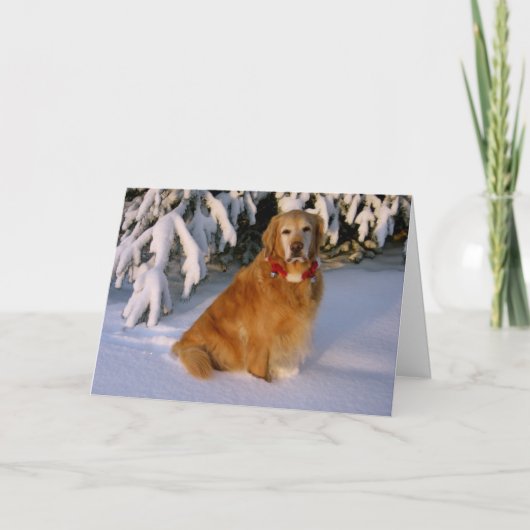 Cartes Pour Fêtes Annuelles Voeux de Noël (Devant)