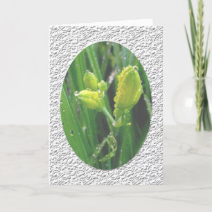 Cartes Pour Fêtes Annuelles Vœux de saison