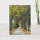 Cartes Pour Fêtes Annuelles Voie de campagne à Jersey (Devant)