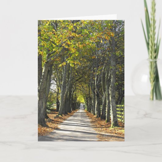 Cartes Pour Fêtes Annuelles Voie de campagne à Jersey (Devant)