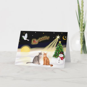 Cartes Pour Fêtes Annuelles Vol de nuit - Deux chats abyssiniques