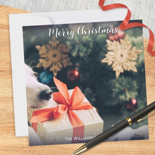 Cartes Pour Fêtes Annuelles Votre Chien Photo Nom personnalisé Joyeux Noël mod