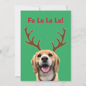 Cartes Pour Fêtes Annuelles Votre photo de chien avec des bois numériques vert (Devant)