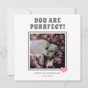 Cartes Pour Fêtes Annuelles Vous Êtes Correctement Funny Valentines Nom Du Pun