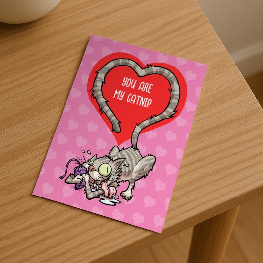 Cartes Pour Fêtes Annuelles Vous êtes mon Catnip Alternative Funny Valentine C