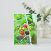 Cartes Pour Fêtes Annuelles Vous êtes tellement Berry Sweet Raspberry Valentin (Debout devant)
