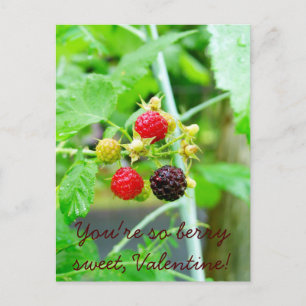 Cartes Pour Fêtes Annuelles Vous êtes tellement Berry Sweet Raspberry Valentin