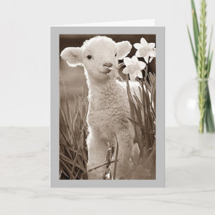 CARTES POUR FÊTES ANNUELLES VOUS VOULEZ DIRE HEUREUX *PÂQUES* À MON ***TWIN***