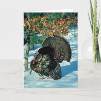 Cartes Pour Fêtes Annuelles Vrai Noël d'hiver de thanksgiving de Noël de la