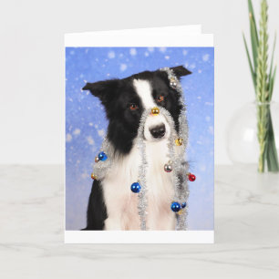 Cartes Pour Fêtes Annuelles Vraiment ?