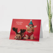 Cartes Pour Fêtes Annuelles Vraiment Naughty Pet Photo Mignonne Noël (Devant)