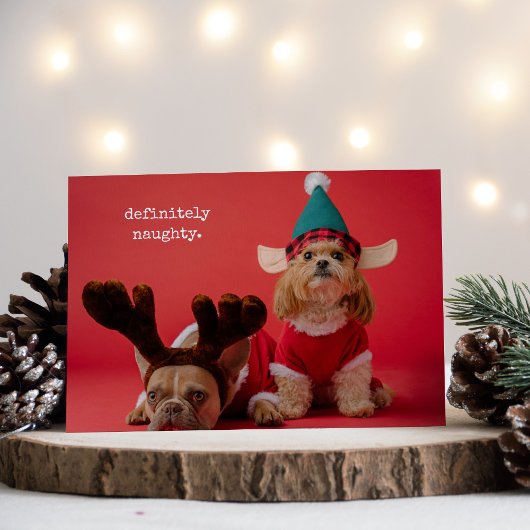 Cartes Pour Fêtes Annuelles Vraiment Naughty Pet Photo Mignonne Noël