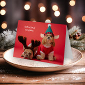 Cartes Pour Fêtes Annuelles Vraiment Naughty Pet Photo Mignonne Noël