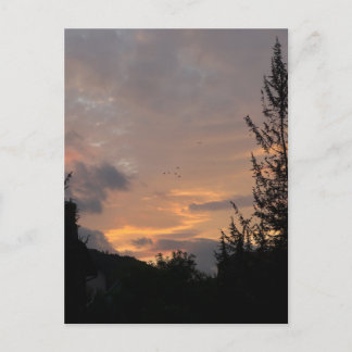 Cartes Pour Fêtes Annuelles Vue du coucher de soleil avec des oiseaux volant a