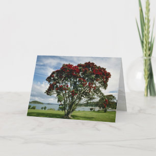 Cartes Pour Fêtes Annuelles Waitangi, arbre de Noël, fleur de Nouvelle-Zélande