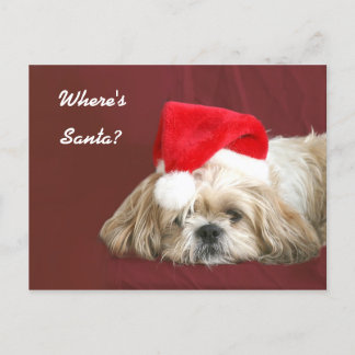Cartes Pour Fêtes Annuelles Waiting for Santa