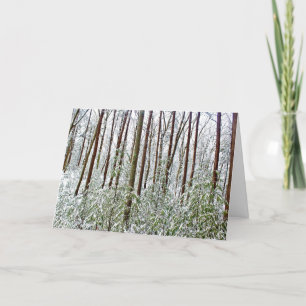 Cartes Pour Fêtes Annuelles *Walden Pond : Vacances - Silence - Un Refuge Univ